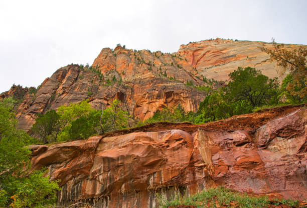 The Narrows - Zion National Park