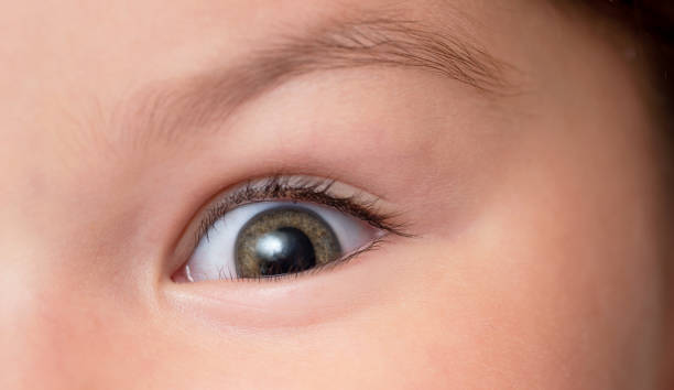 istock The child's brown eyes are close-up 1327012920