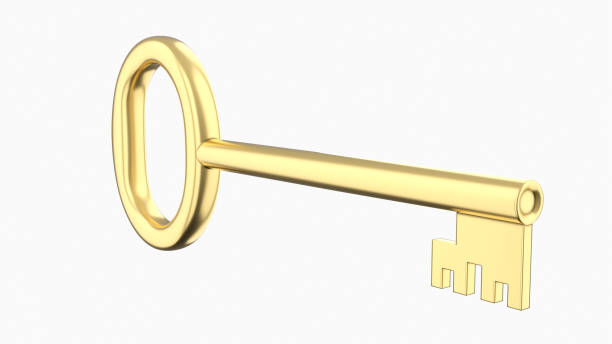 istock Vintage Metal Key 1327013540
