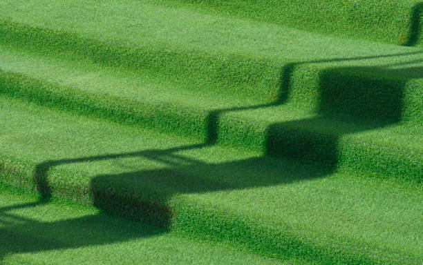 istock artificial grass on outside stairs in front yard area with sunlight and shadow on surface 1327023606