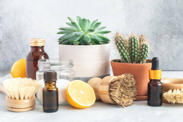 istock Spring Cleaning concept. Bamboo brushes and natural products for eco cleaning. Zero waste eco friendly cleaning concept. Copy space for your text 1327025789