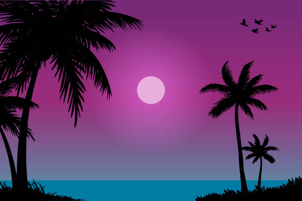 ilustraciones, imágenes clip art, dibujos animados e iconos de stock de ilustración vectorial del paisaje natural de la playa tropical al atardecer - miami beach
