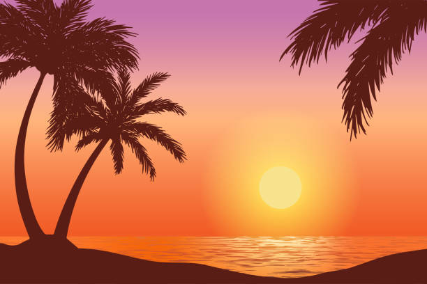Palmeras Y Atardecer De El Cielo Hawai - Banco de fotos e imágenes de stock - iStock Palmeras Y Atardecer De El Cielo Hawai - Banco de fotos e imágenes de stock - iStock