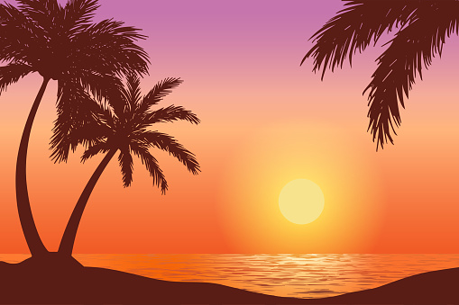 vector sunset on tropical beach, natural scenery illustration with palm tree silhouette