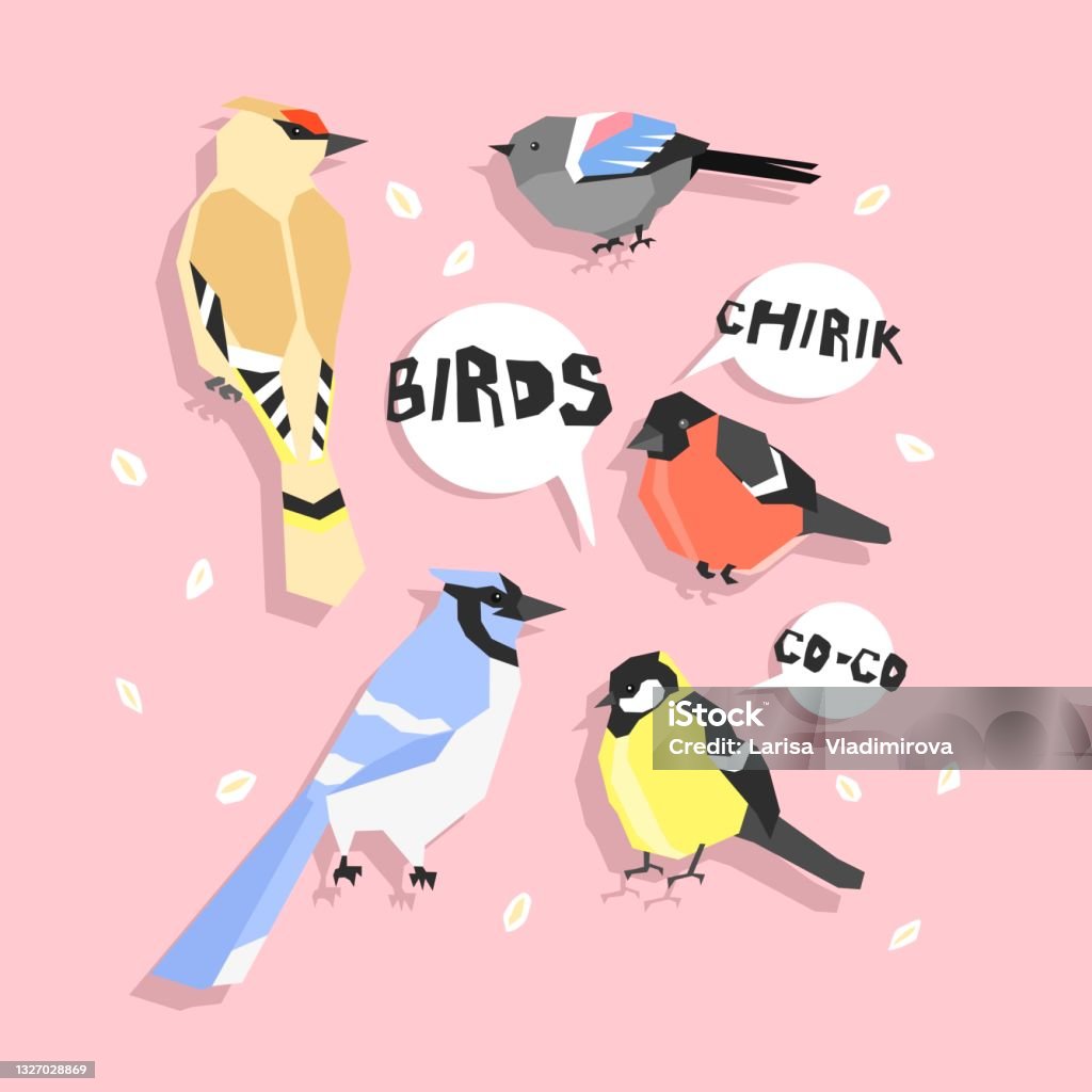 Set With Different Shape And Color Birds Isolated On Pink Background Words  Coco And Chirik Mean Birds Sounds Poster Print And Card Design Cute Animals  Wild Life Speech Bubble Quotes Vector Stock