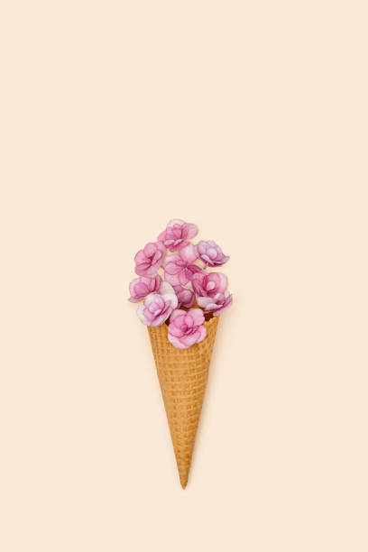istock Waffle ice cream cone with pink small flowers Minimal summer flat lay composition with blossoms Hydrangea. 1327029027