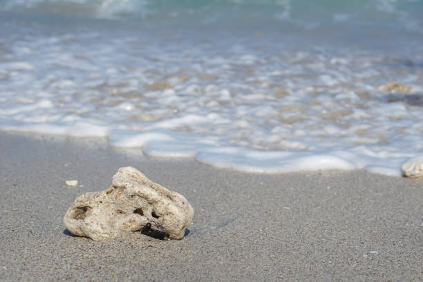 istock white coral reefs on white sand beaches 1327029733
