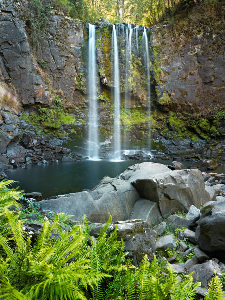 cascate hopetoun - otway national park foto e immagini stock