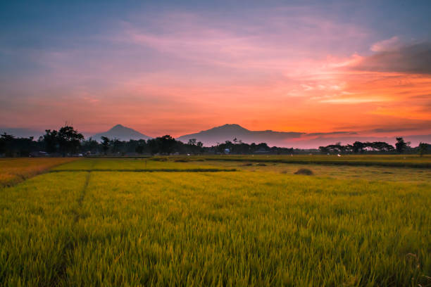 Sunset in Surakarta Solo