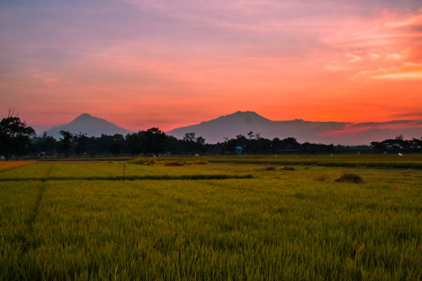 istock Sunset in Surakarta Solo 1327035861