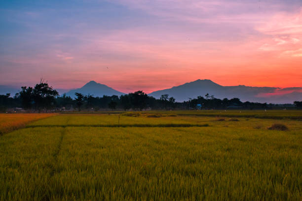 istock Sunset in Surakarta Solo 1327035921