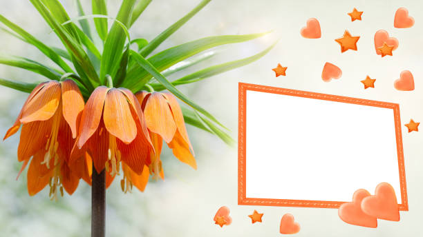Frame for congratulations or invitations, on the background of flowers and hearts stock photo