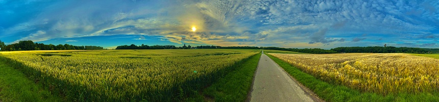Mega ultra wide panoramic view of farm fields in the province of Limburg, The Netherlands