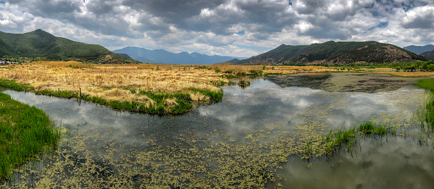 Wetland in Lugu Lake, China
