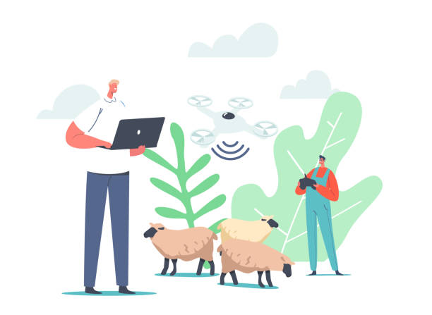 ilustraciones, imágenes clip art, dibujos animados e iconos de stock de pastor masculino carácter uso quadcopter y rfid, tecnología de etiqueta de identificación por radiofrecuencia para el pastoreo de ovejas - animal husbandry