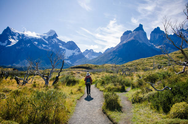 A women hiking at Torres Del Paine National Park in Chile Paine National Park, Chile; 14 March 2020. A women hiking at Torres Del Paine National Park in Chile. cuernos del paine stock pictures, royalty-free photos & images