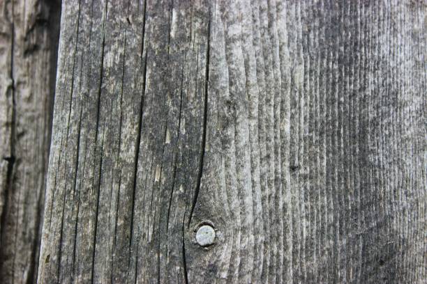 Dark themed old wooden background, surface of dark, old wood panel.