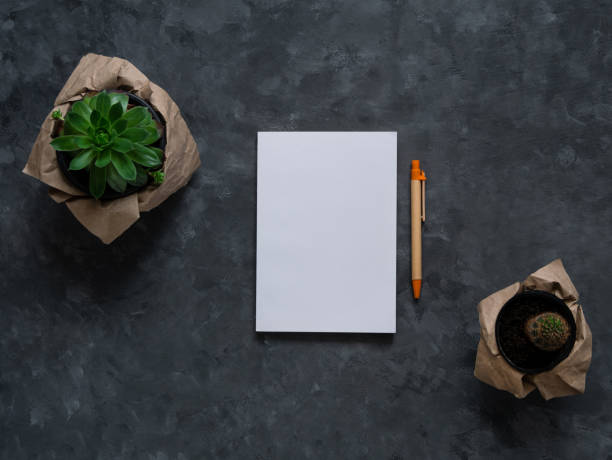 istock White blank notebook mockup dark background flat lay. Minimal work space sketchbook, paper pen, green plant top view. 1327043064