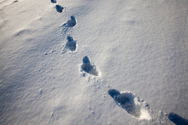 istock footprints on snowdrifts after walking 1327045738
