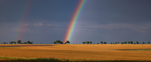 Landscape view on the bright rainbow and dramatic sky through the tree.