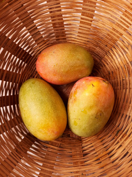 istock Ripe mangoes in a bamboo bucket 1327058310