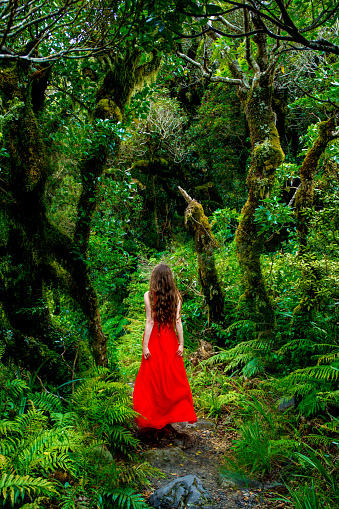 Girl wears a red dress in a New Zealand Forrest while exploring the lush green scenery.