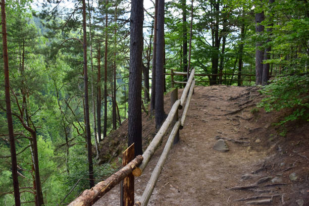 istock Mountain trail over a cliff overgrown with trees. On the left, a railing is made of logs. 1327059232