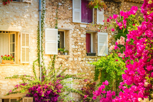 beautiful old town detail, facade of typical house, Provence at summer day with flowers, France