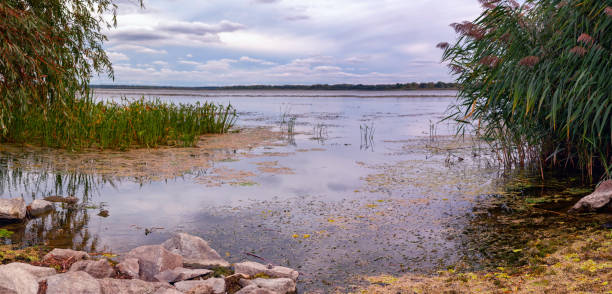 istock Lake Tisza landscape Hungary 1327062179