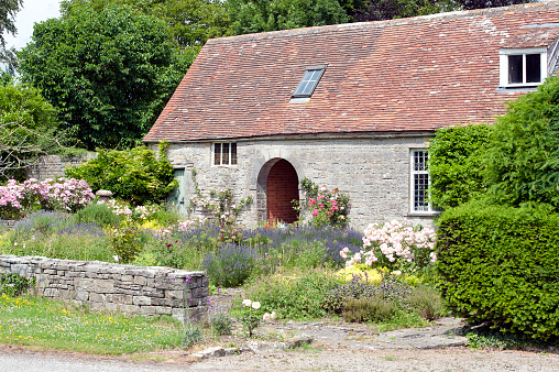 Overgrown garden and outbuilding, Butleigh, Glastonbury, Somerset, England. This west country county offers much by way of distinctive architecture around and within Glastonbury town and environs, Somerset, England, UK