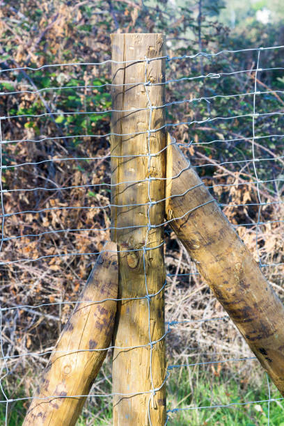 istock wooden post on a fence in the field 1327063993