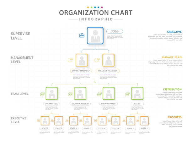 Infographic Modern Organization Chart with position. Infographic template for business. Modern Organization Chart with position, presentation vector infographic. flow chart stock illustrations
