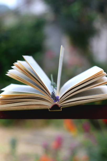 istock Book and Lavender Flower 1327069693