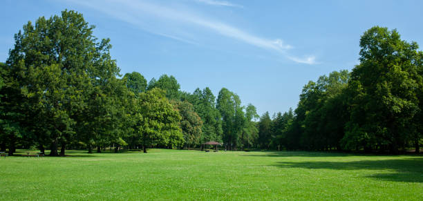 istock Banner image of green park 1327073751