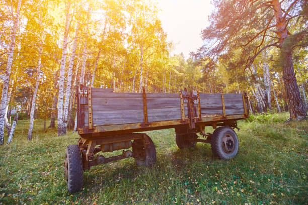 Tractor trailer. An old trailer sits on a green lawn