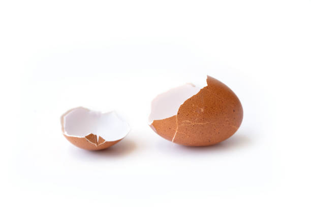 istock Cracked or broken brown egg shell isolated on white background. Breakfast food 1327079099