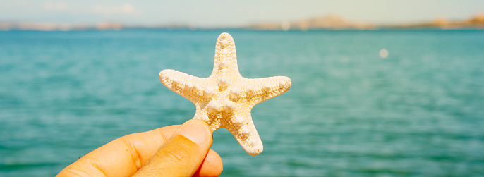 closeup of a young man holding a starfish in his hand on the beach, in front of the sea, in a panoramic format to use as web banner or header
