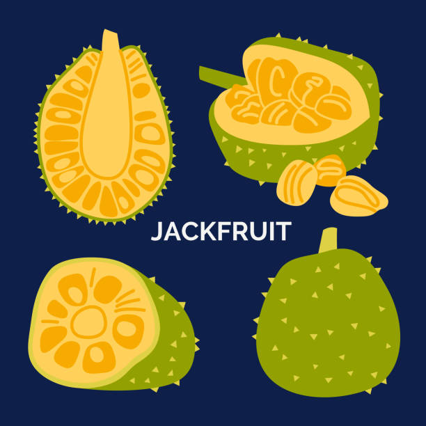 istock Vector illustration of an exotic tropical fruit. Jackfruit set, whole and sliced. Collection of icons for logo, menu, banner decoration 1327080555