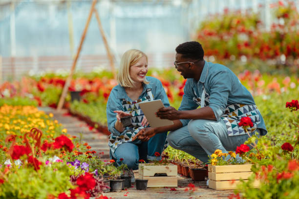 istock Two florists using digital tablet in a greenhouse 1327080712