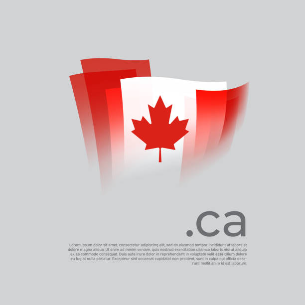 ilustrações de stock, clip art, desenhos animados e ícones de canada flag. canadian flag painted with abstract brush strokes on a light background. vector stylized design national poster with ca domain, place for text. state patriotic banner canada, cover - canadian flag canada flag canada day