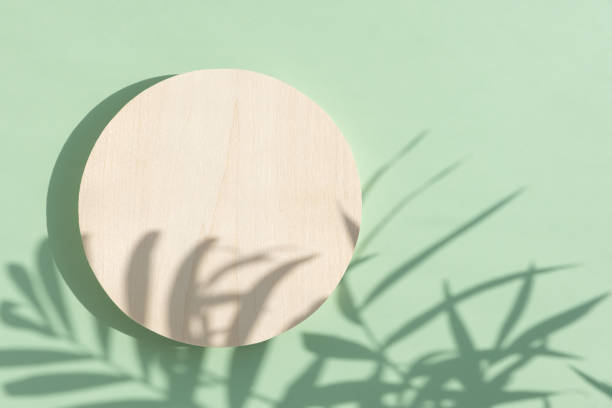 um pódio cilíndrico de madeira em um fundo verde pastel com uma sombra de folhas de palmeira tropical - wood product - fotografias e filmes do acervo