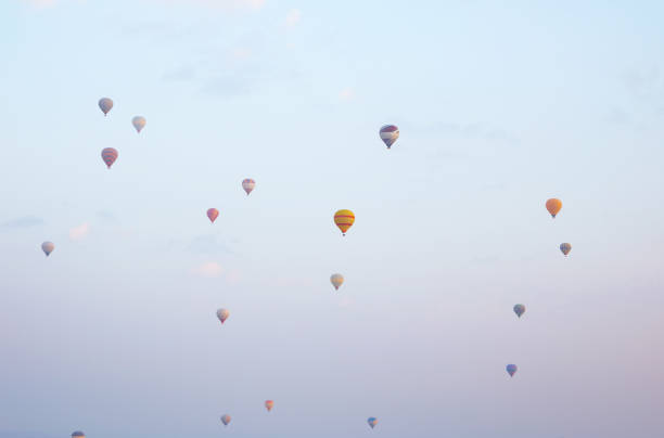 Hot air balloons flying in sky