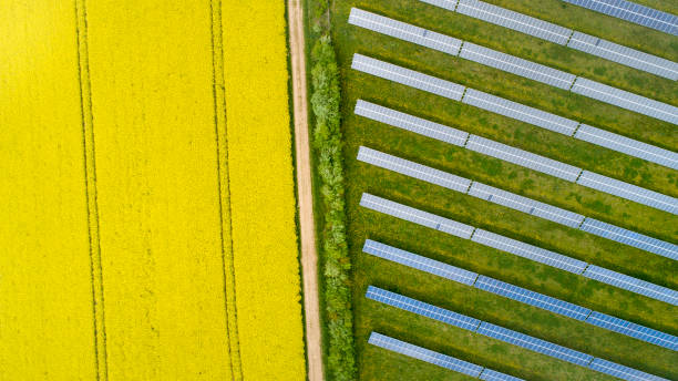 istock Canola fields and solar power plant in springtime - aerial view 1327090161