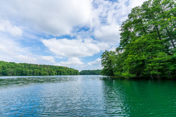 istock Trees on the shore of a lake 1327090170
