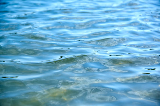istock Transparent calm sea surface on a sunny day. 1327091696