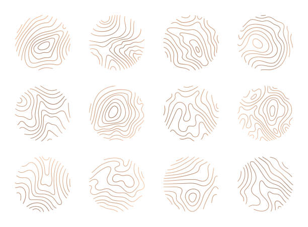 ilustraciones, imágenes clip art, dibujos animados e iconos de stock de cliparte del anillo del árbol, anillo de madera del logotipo del vector. ilustración de material de mapa de topografía de círculos - textured vector circle in a row