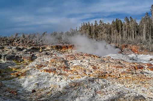 A geyser, steam and water boils from the ground of geothermal areas