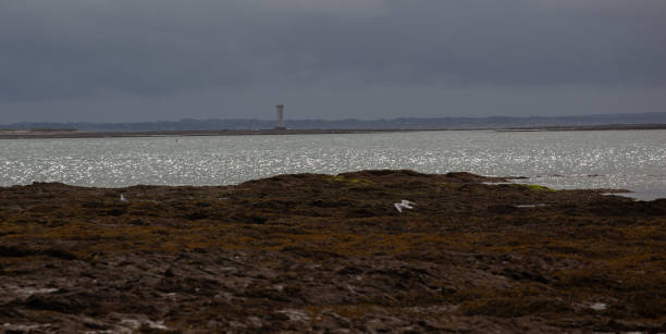 istock The sea, the tower and the seagulls 1327093191