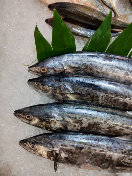 istock fish for sale in the market 1327093894