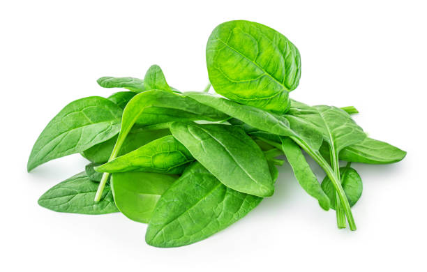 istock Spinach leaves isolated on white background. Various Spinach leaf Macro. Top view. Flat lay.